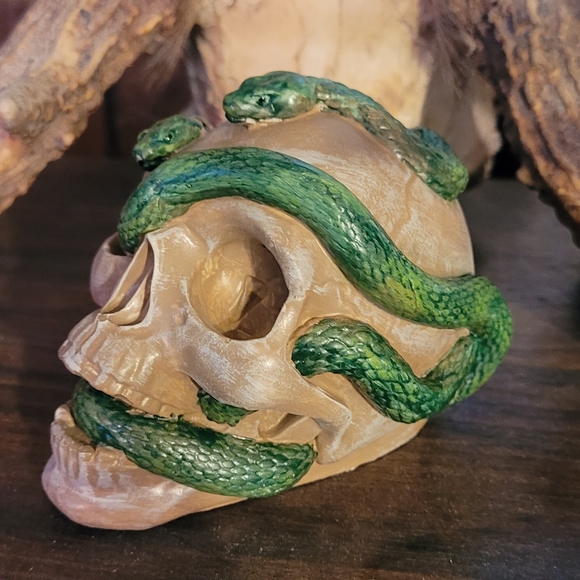 Skull (cement) - Picture 2 of 3